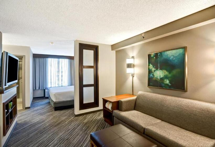 Стандартный Номер Кровать Кинг, Hyatt Place Richmond   Innsbrook