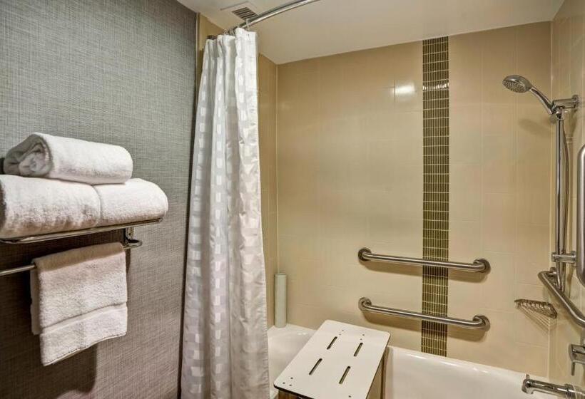 Номер Стандарт Кровать Кинг Адаптированный для Инвалидов, Hyatt Place Richmond   Innsbrook