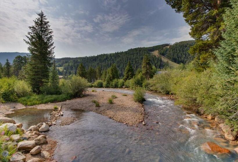 דירת שני חדרים, Snowdance Manor 205