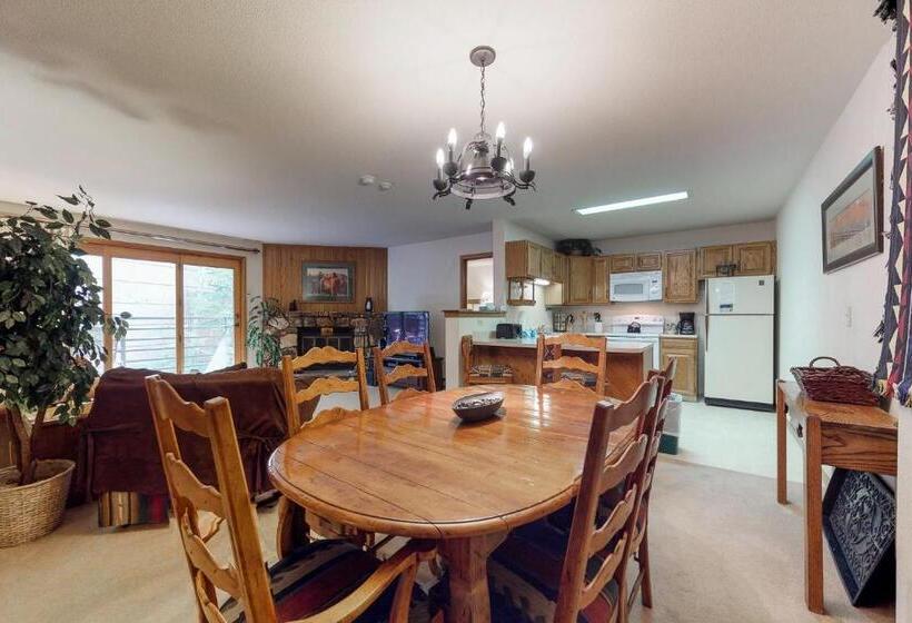 דירת שני חדרים, Snowdance Manor 205