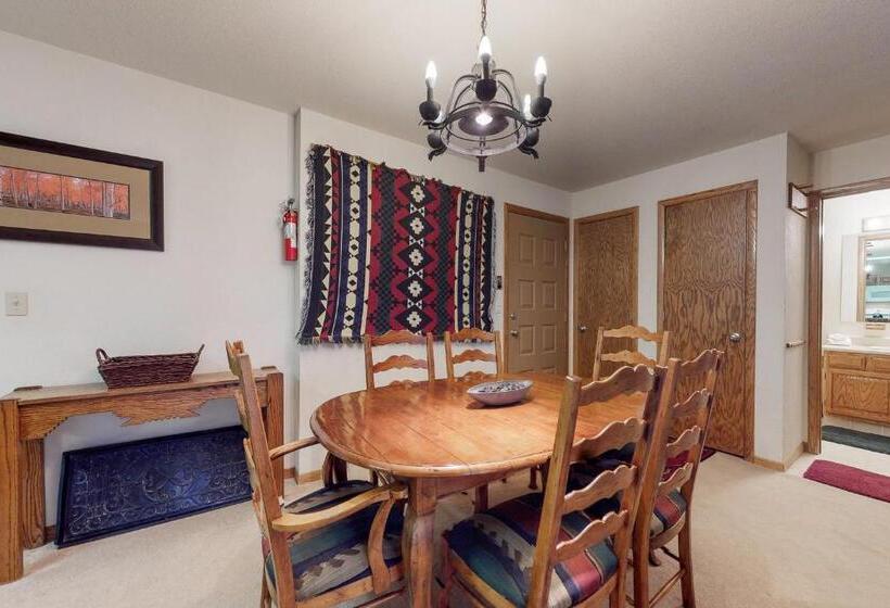 דירת שני חדרים, Snowdance Manor 205