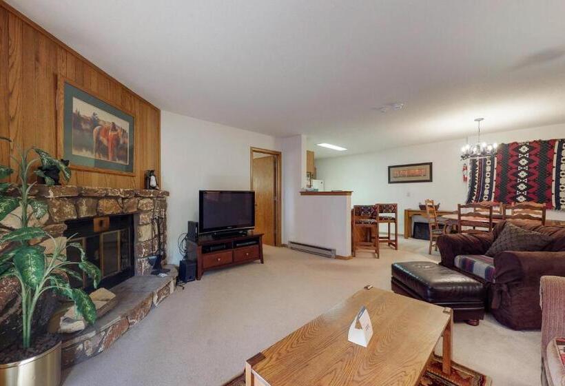 דירת שני חדרים, Snowdance Manor 205