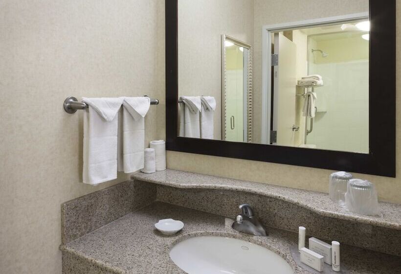 סוויטה, Springhill Suites Indianapolis Fishers