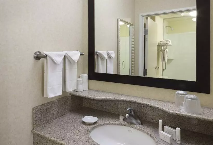 身障者適用スイートルーム, Springhill Suites Indianapolis Fishers