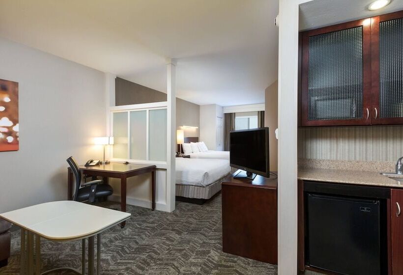 Suite Adaptată pentru Discapacitaţi, Springhill Suites Indianapolis Fishers