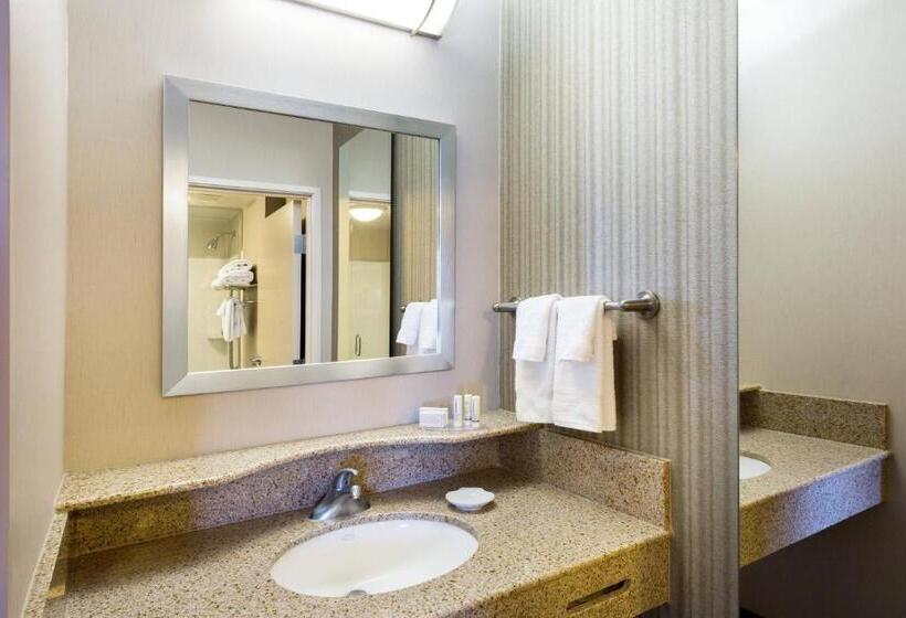 Suite Pat King, Springhill Suites Indianapolis Fishers