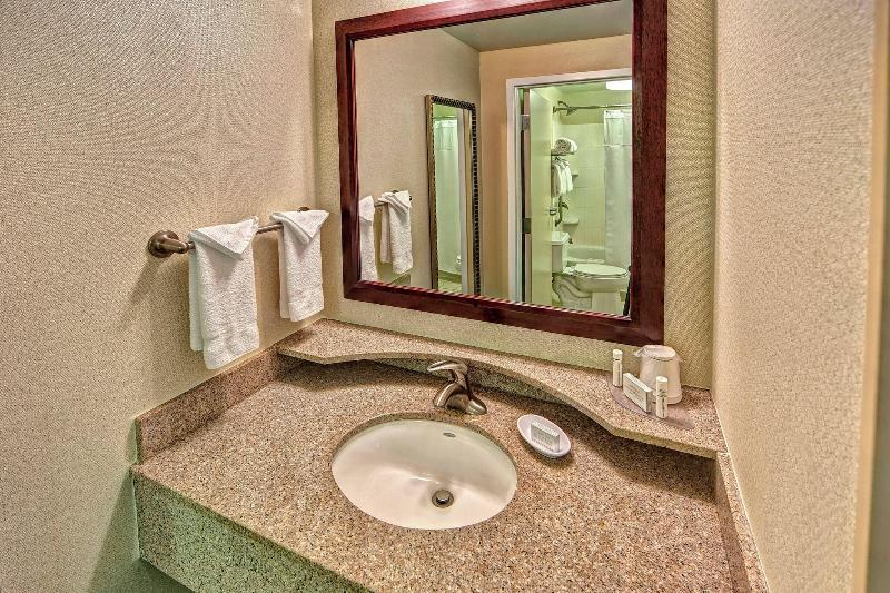 带大床的套房, Springhill Suites Norfolk Old Dominion University