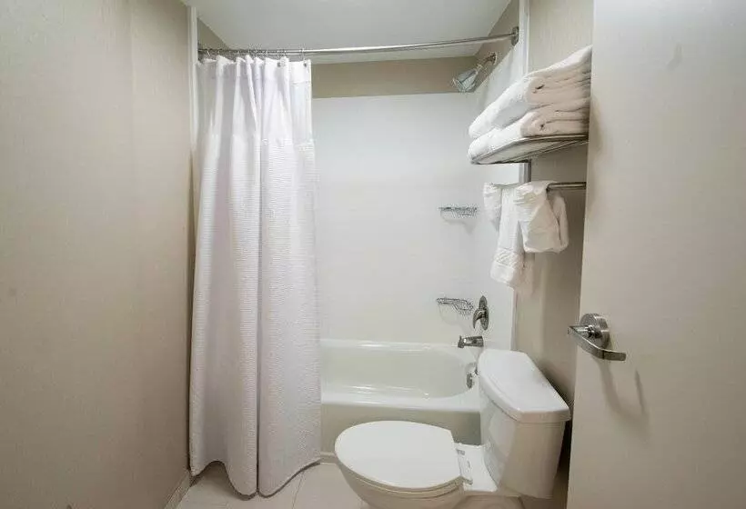 スタンダードスタジオ, Springhill Suites By Marriott Winston Salem Hanes Mall