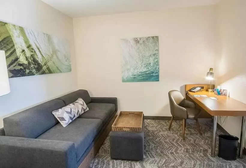 スタンダードスタジオ, Springhill Suites By Marriott Winston Salem Hanes Mall