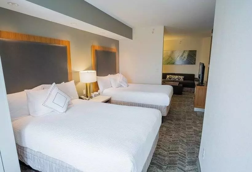 スタンダードスタジオ, Springhill Suites By Marriott Winston Salem Hanes Mall