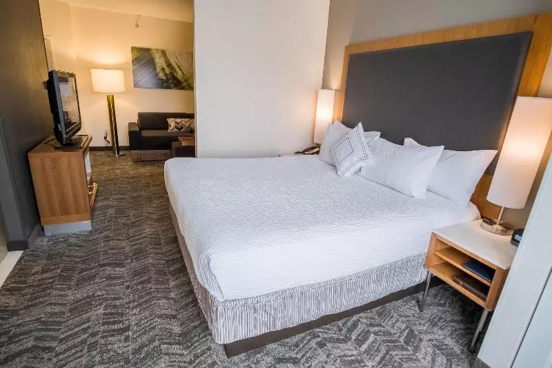 キングサイドベッドのスタンダードワンルーム, Springhill Suites By Marriott Winston Salem Hanes Mall