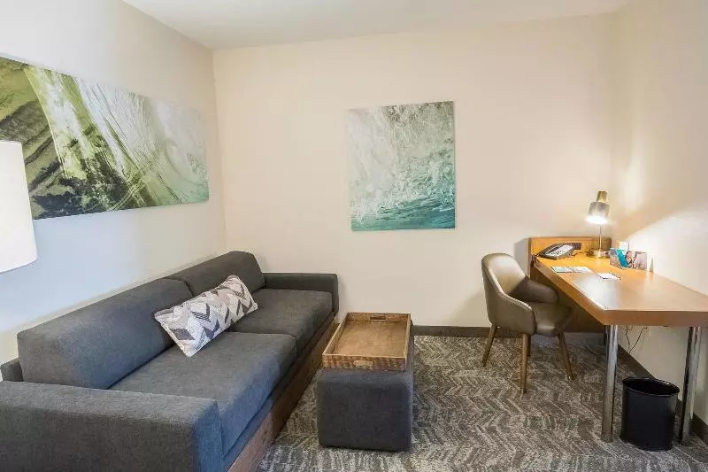 キングサイドベッドのスタンダードワンルーム, Springhill Suites By Marriott Winston Salem Hanes Mall