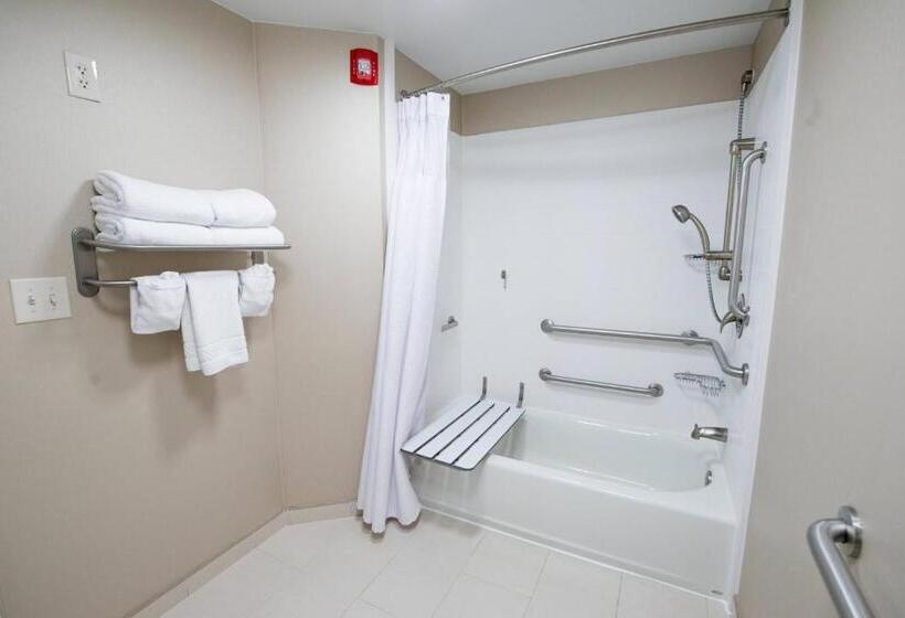 带大床的标准工作室, Springhill Suites By Marriott Winston Salem Hanes Mall