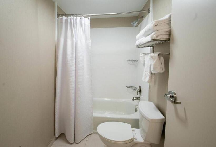 Студио Стандарт Кровать Кинг, Springhill Suites By Marriott Winston Salem Hanes Mall
