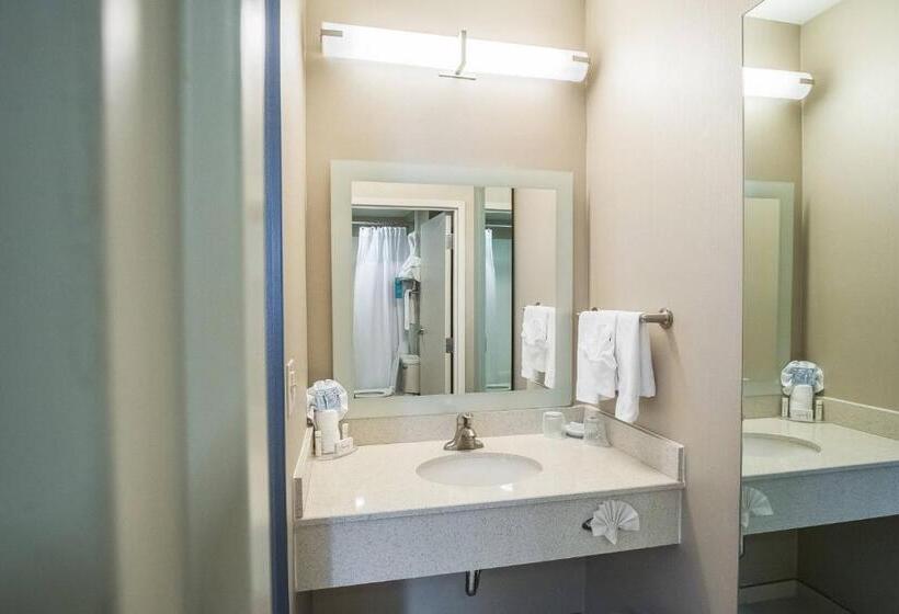 带大床的标准工作室, Springhill Suites By Marriott Winston Salem Hanes Mall