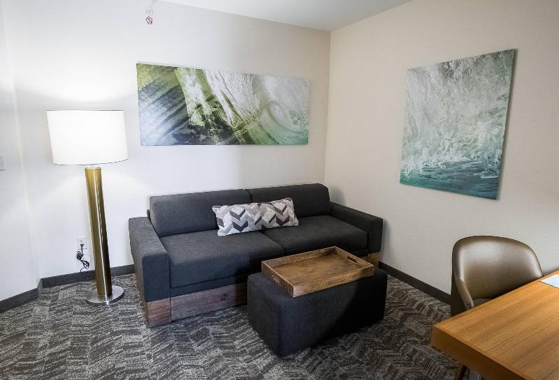 带大床的标准工作室, Springhill Suites By Marriott Winston Salem Hanes Mall