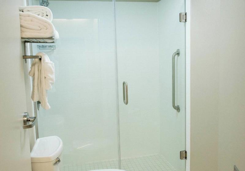 带大床的标准工作室, Springhill Suites By Marriott Winston Salem Hanes Mall