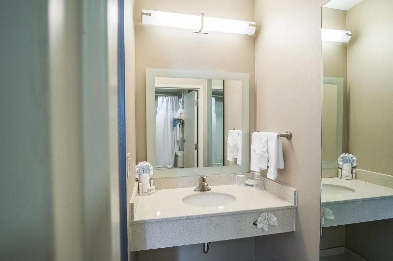 带大床的标准工作室, Springhill Suites By Marriott Winston Salem Hanes Mall