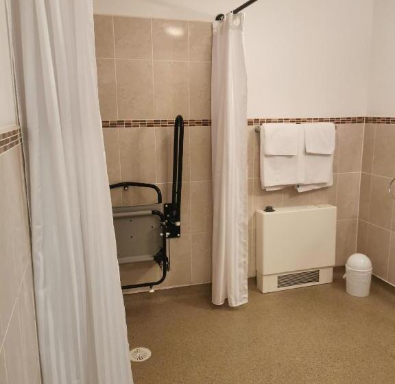 غرفة قياسية لذوى الاحتياجات الخاصة, The Grove