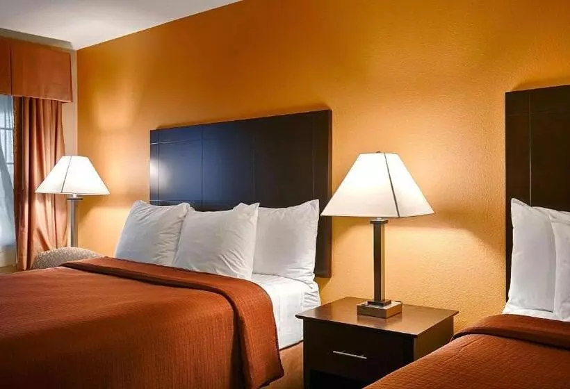 スタンダードルーム, Best Western Lake Conroe