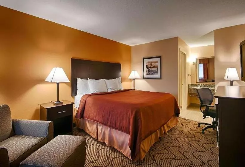 身障者適用キングサイズベッドルーム, Best Western Lake Conroe