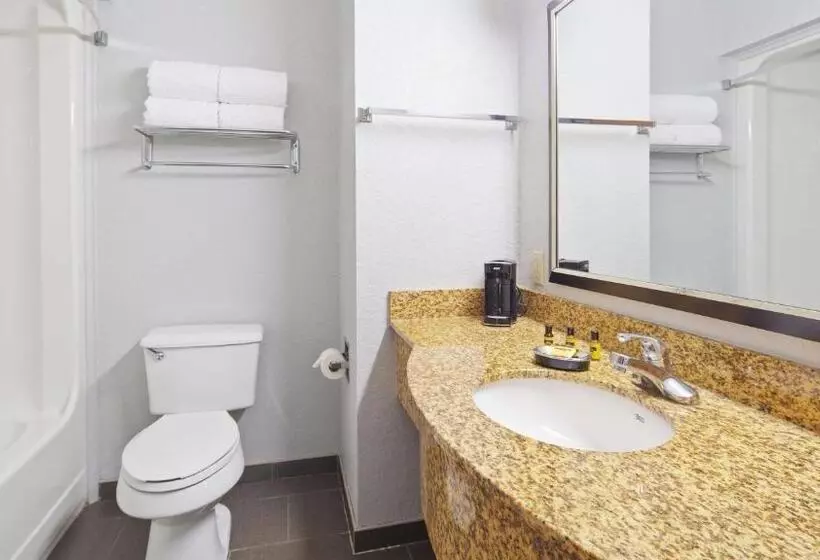Standard-huone, Best Western Plus Fredericksburg
