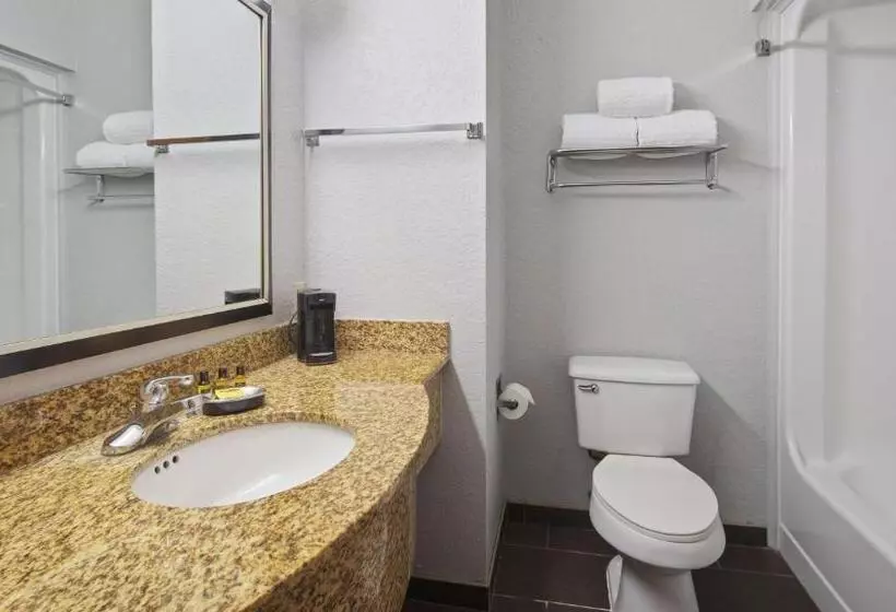 Sviitti King-vuode, Best Western Plus Fredericksburg