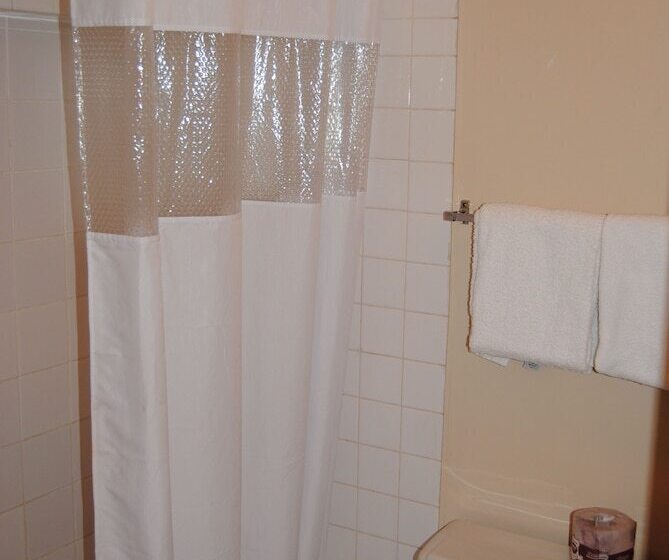 带2个双人床的标准工作室, Economy Inn