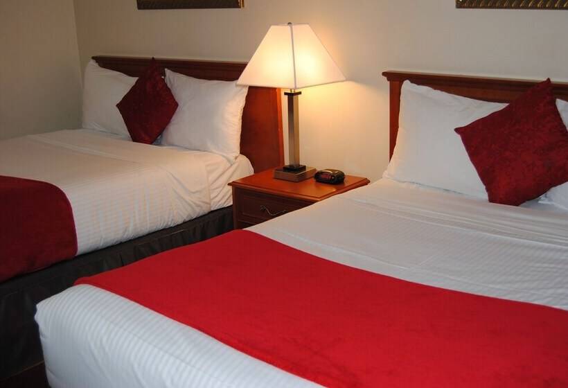 带2个双人床的标准工作室, Economy Inn