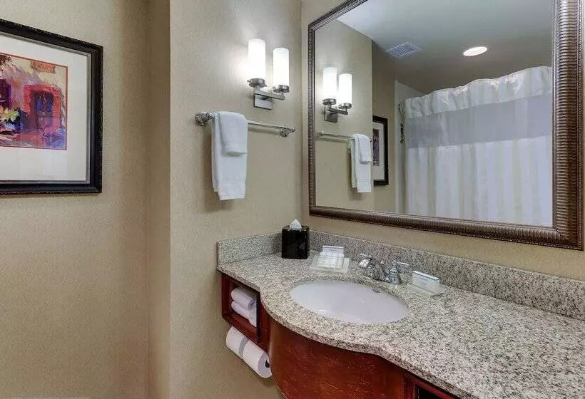 اتاق استاندارد, Hilton Garden Inn Indianapolis Airport