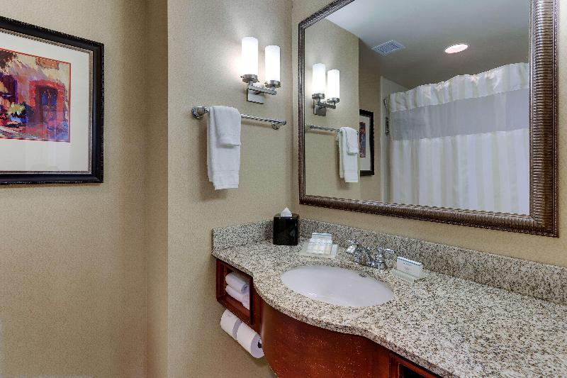 Pokój Standard Łóżko King Size, Hilton Garden Inn Indianapolis Airport