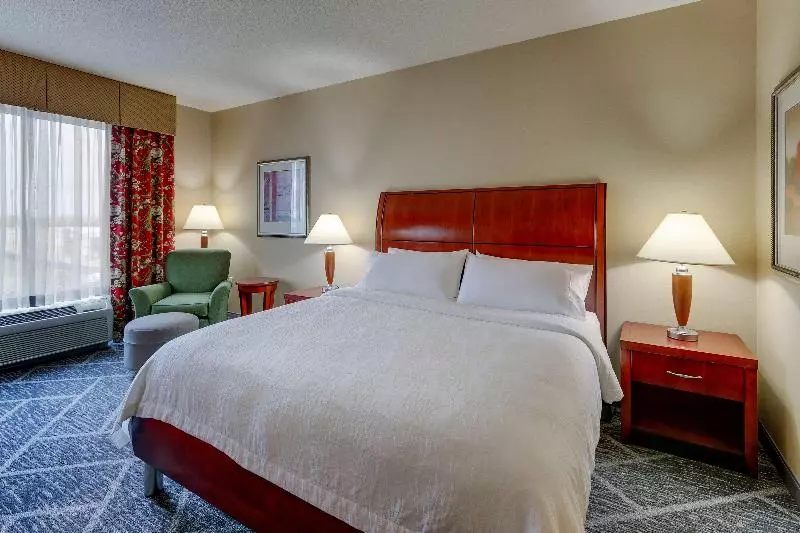 اتاق استاندارد با تخت بزرگ, Hilton Garden Inn Indianapolis Airport