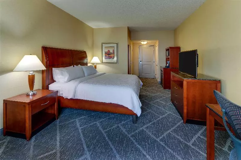 اتاق استاندارد با تخت بزرگ, Hilton Garden Inn Indianapolis Airport