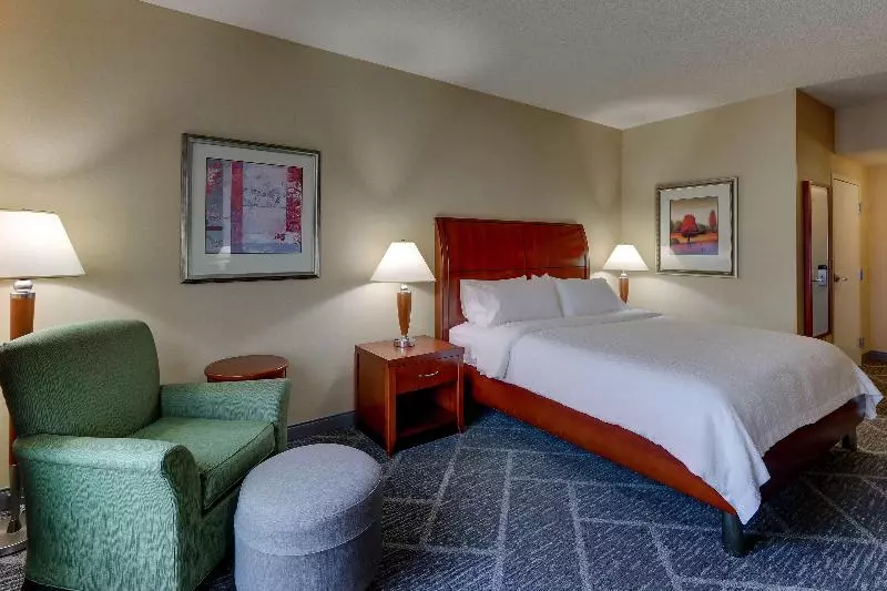 اتاق استاندارد با تخت بزرگ, Hilton Garden Inn Indianapolis Airport