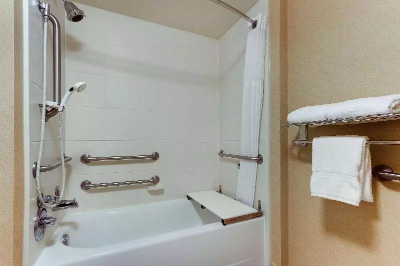 سوئیت با تخت بزرگ, Hilton Garden Inn Indianapolis Airport