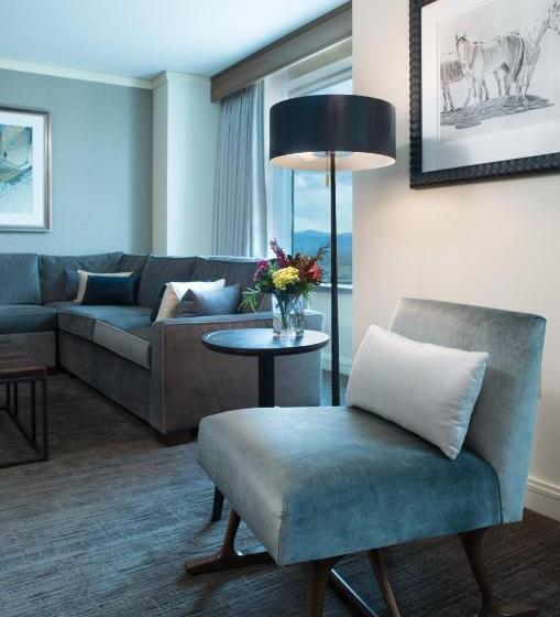 스위트, Hyatt Regency Denver At Colorado Convention Center