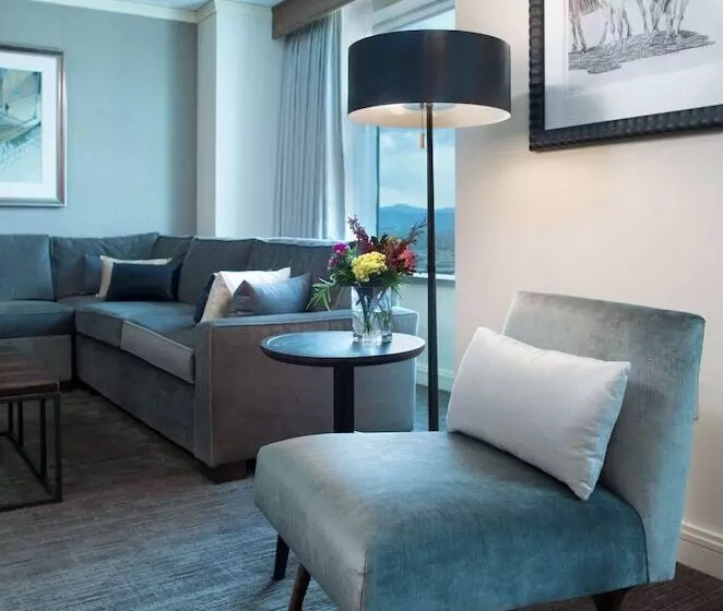 スイート, Hyatt Regency Denver At Colorado Convention Center