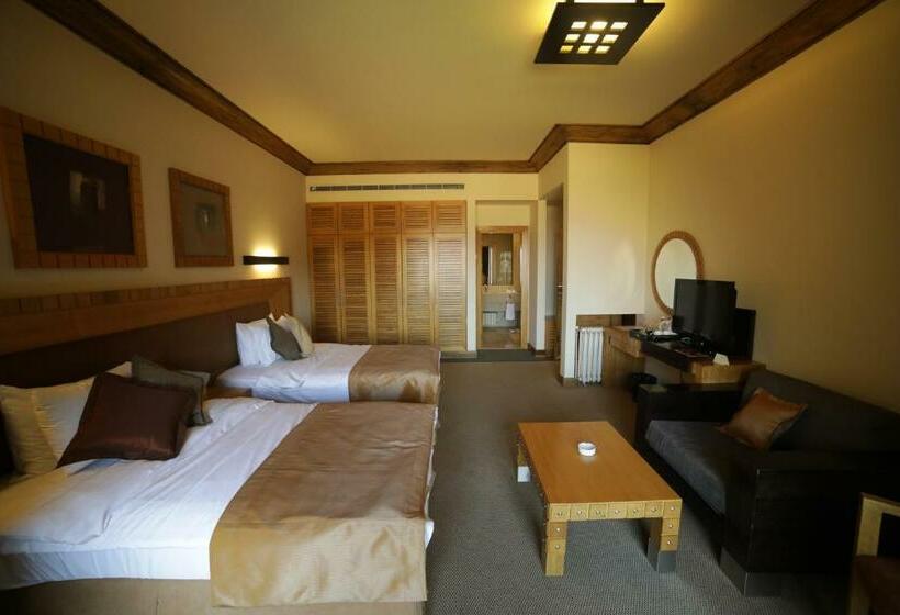 اتاق اجرایی, Terre Brune