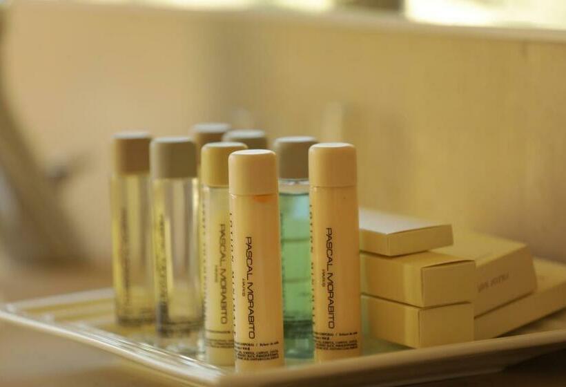 اتاق استاندارد, Terre Brune