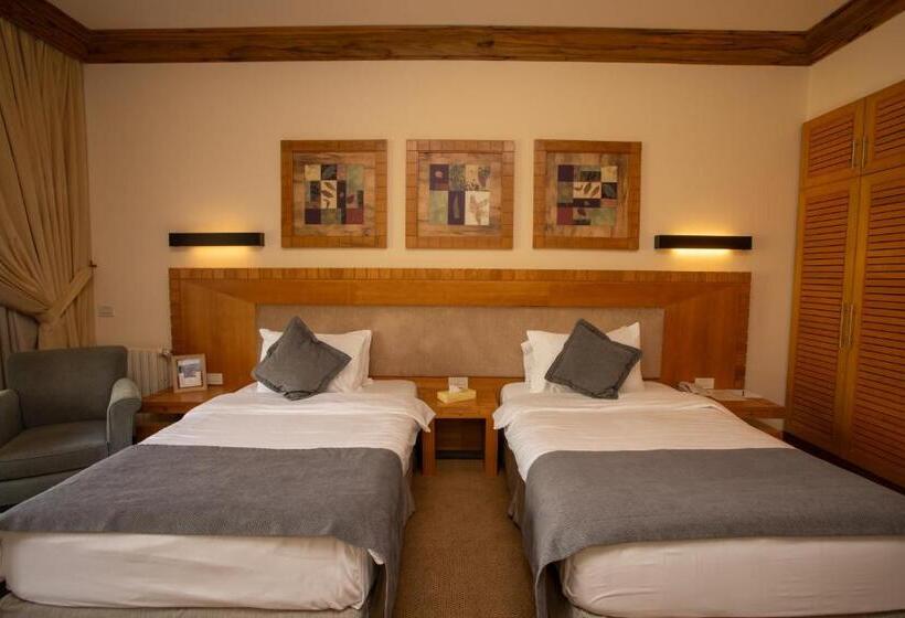 اتاق استاندارد, Terre Brune