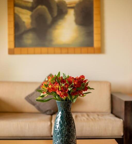 سوییت, Terre Brune