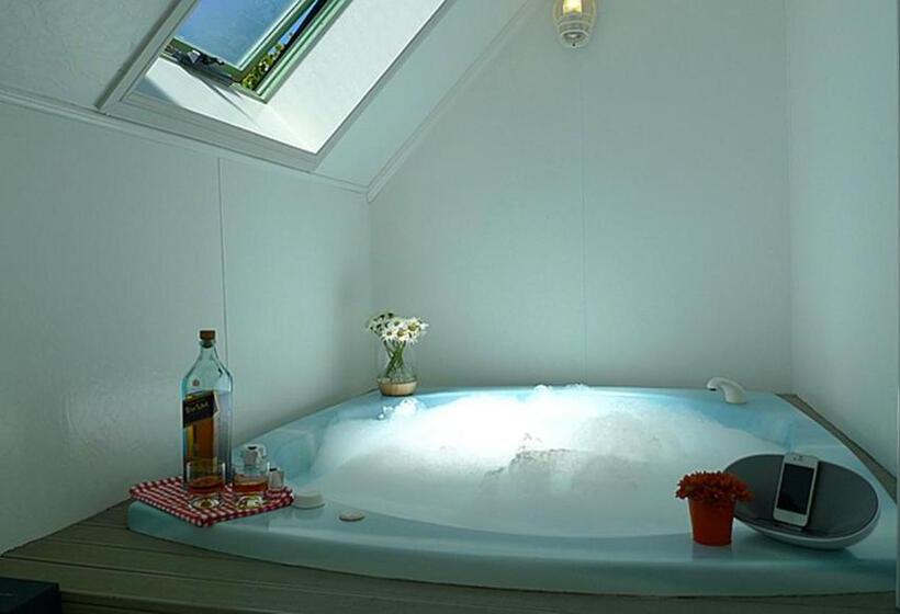 Студио Comfort, Rotorua Coachman Spa Motel