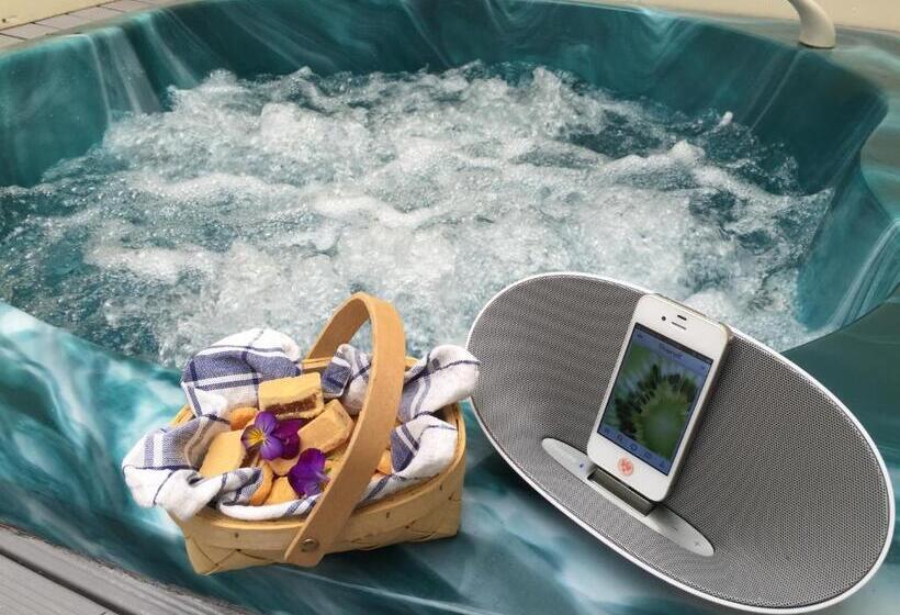 Люкс Комфорт, Rotorua Coachman Spa Motel