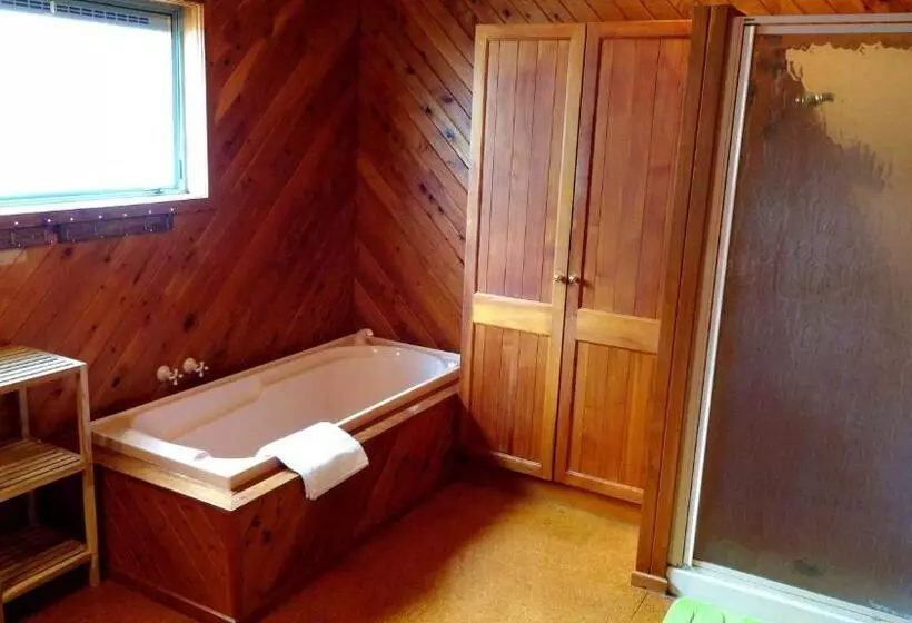 １ベッドルームのコンフォーとアパートメント, Rotorua Coachman Spa Motel