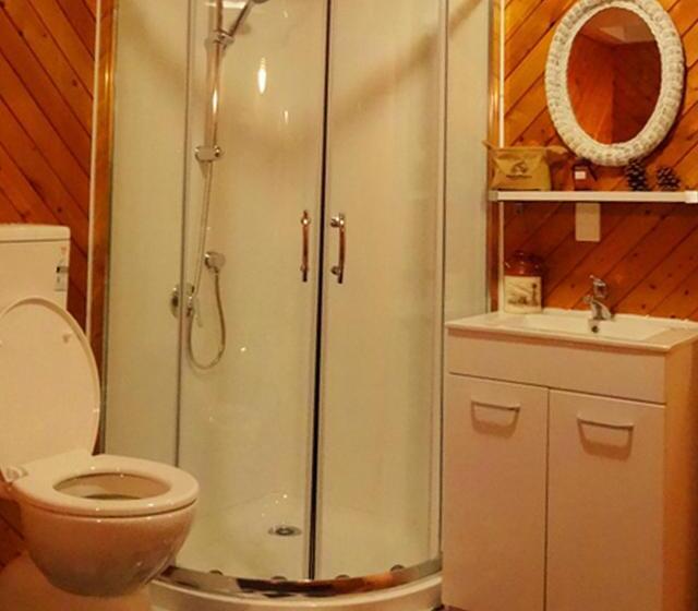 Апартаменты Комфорт 1 Спальня, Rotorua Coachman Spa Motel