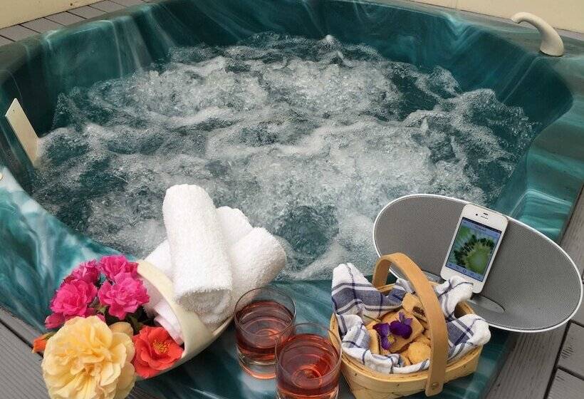 舒适套房, Rotorua Coachman Spa Motel