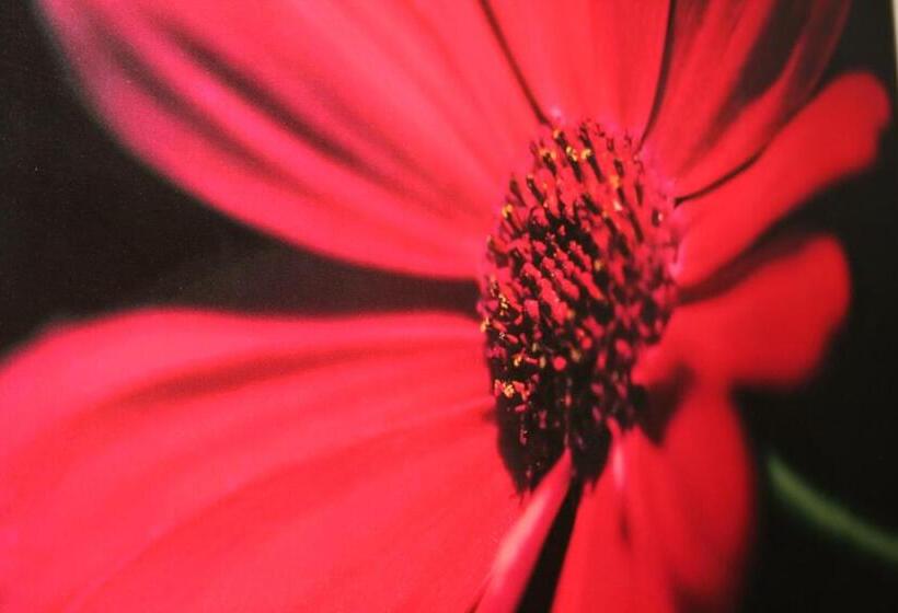 带1个卧室的公寓, Premier Lodge Central