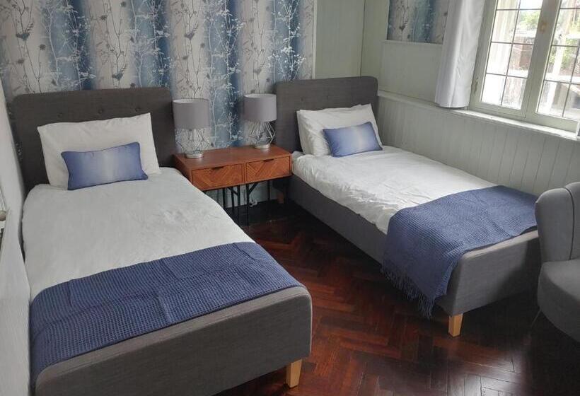 Superior Room, The Walrus Bar And Hostel