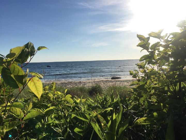 ガーデンビュースタンダードルーム, Avonlea