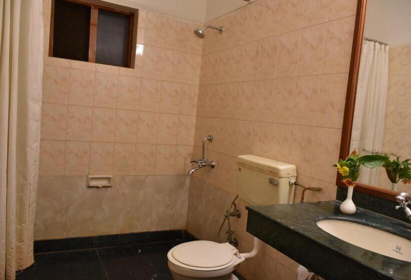 Номер Стандарт, Greenwood